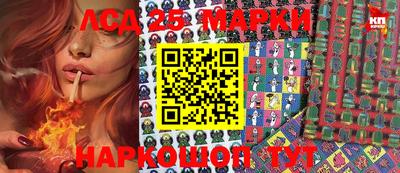 ГАЛЛЮЦИНОГЕННЫЕ ГРИБЫ Кингисепп
