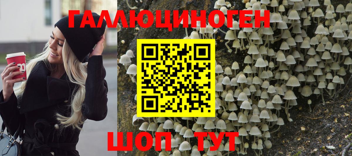 Псилоцибиновые грибы мицелий Якутск